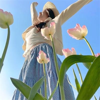 森林小丑